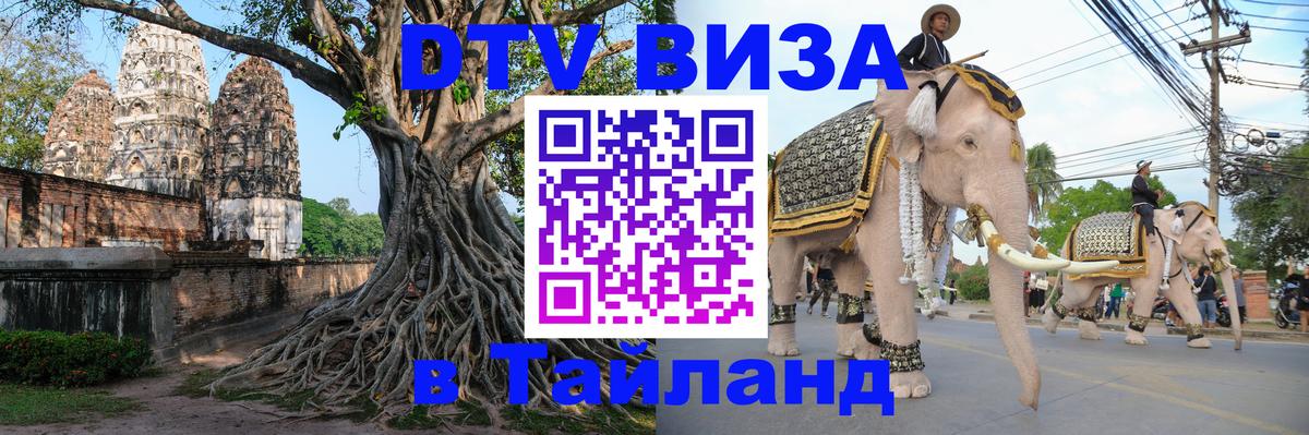 Оформление DTV визы под ключ: стоимость и тарифы, только загранпаспорт - 